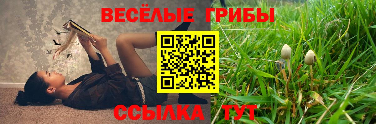 Псилоцибиновые грибы Psilocybine cubensis  Вход с VPN  Изобильный 